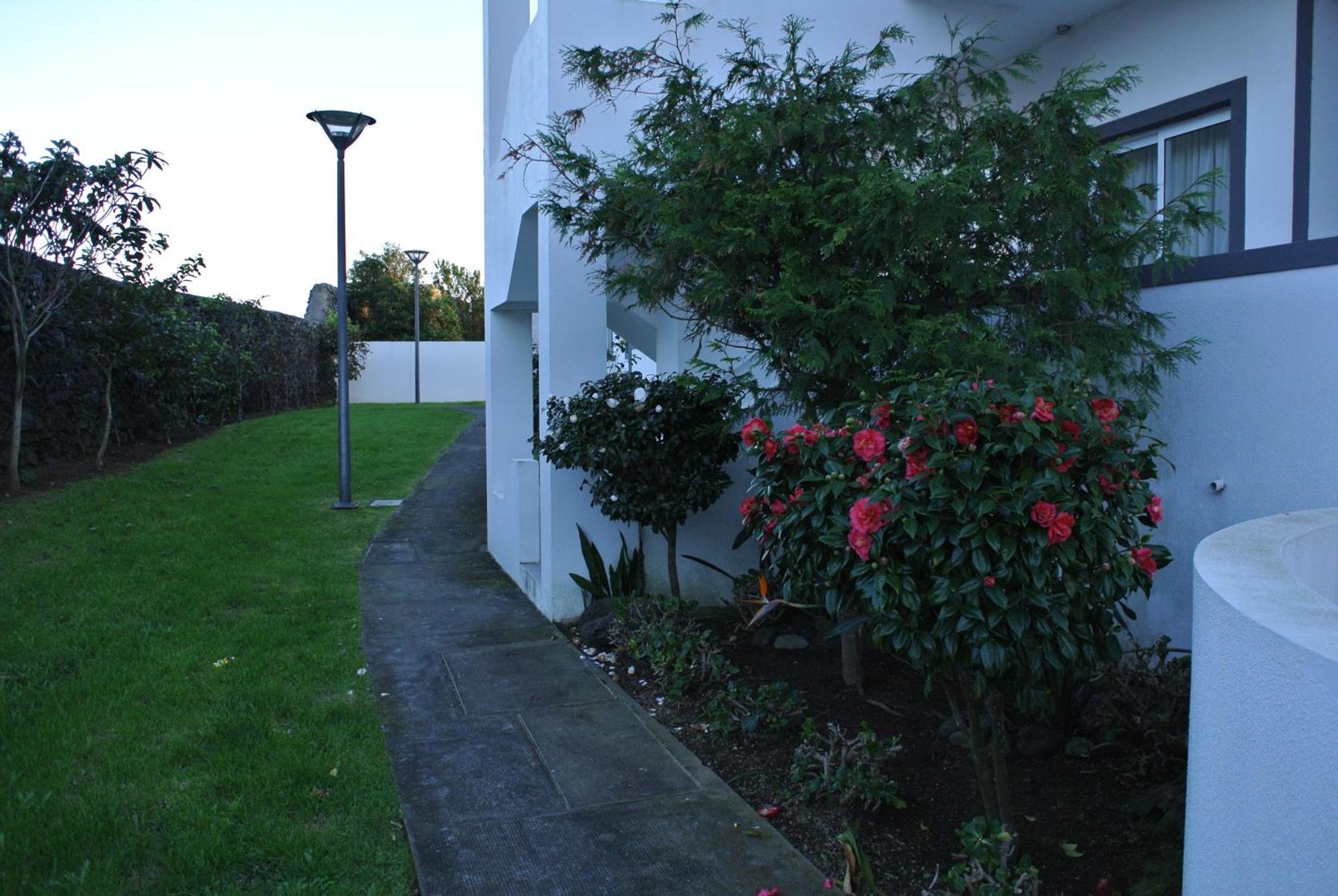 Casa Simba , Where The Fun Begins Ponta Delgada Zewnętrze zdjęcie
